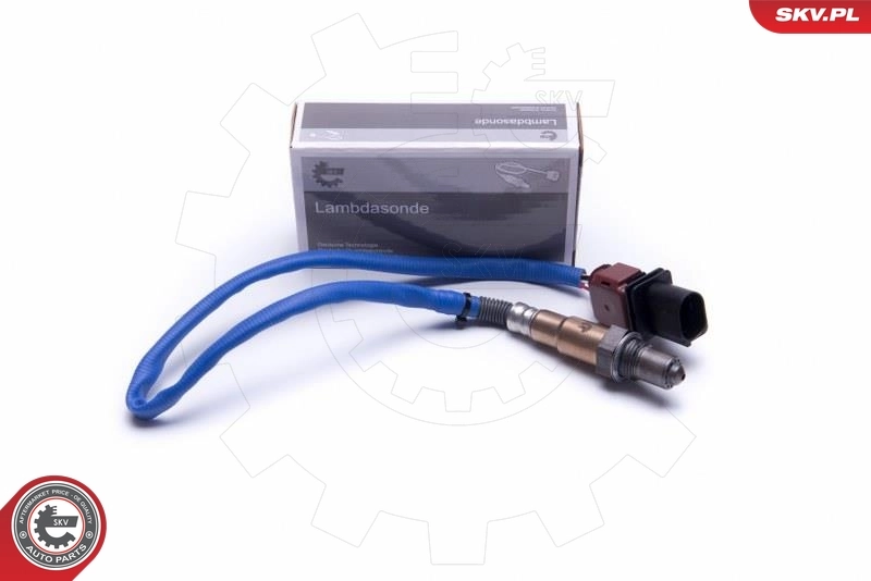 Oxygen Sensor